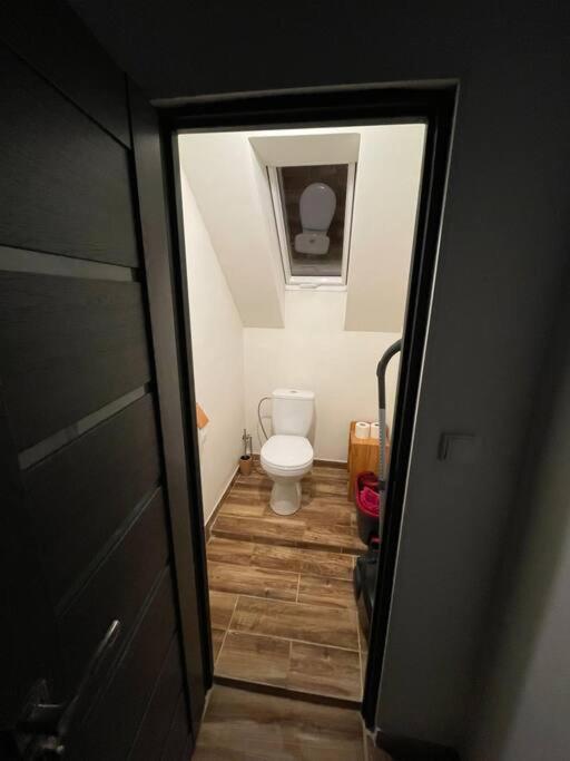 Francis Apartment - Lazenske Centrum Karlovy Vary Ngoại thất bức ảnh
