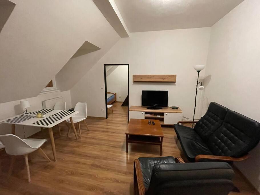 Francis Apartment - Lazenske Centrum Karlovy Vary Ngoại thất bức ảnh